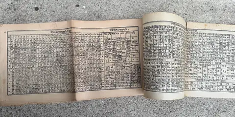 Mysterious Sanskrit Text Found in Germany Sparks Online Decoding Efforts